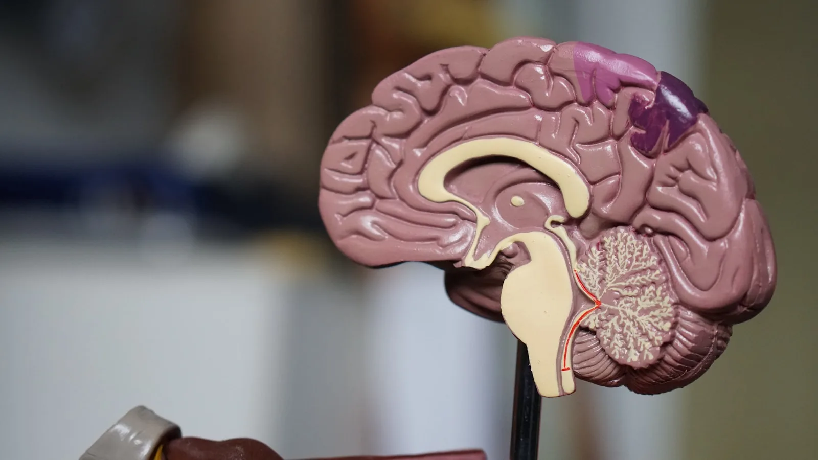 Oogdrukmeting met tonometer voor glaucoomscreening